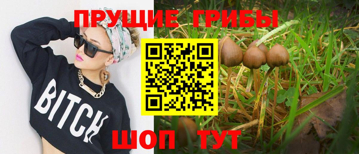 Псилоцибиновые грибы мухоморы Зеленокумск