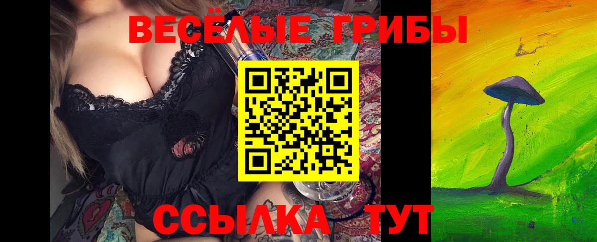 Галлюциногенные грибы мицелий  Вход с VPN  Зеленокумск 
