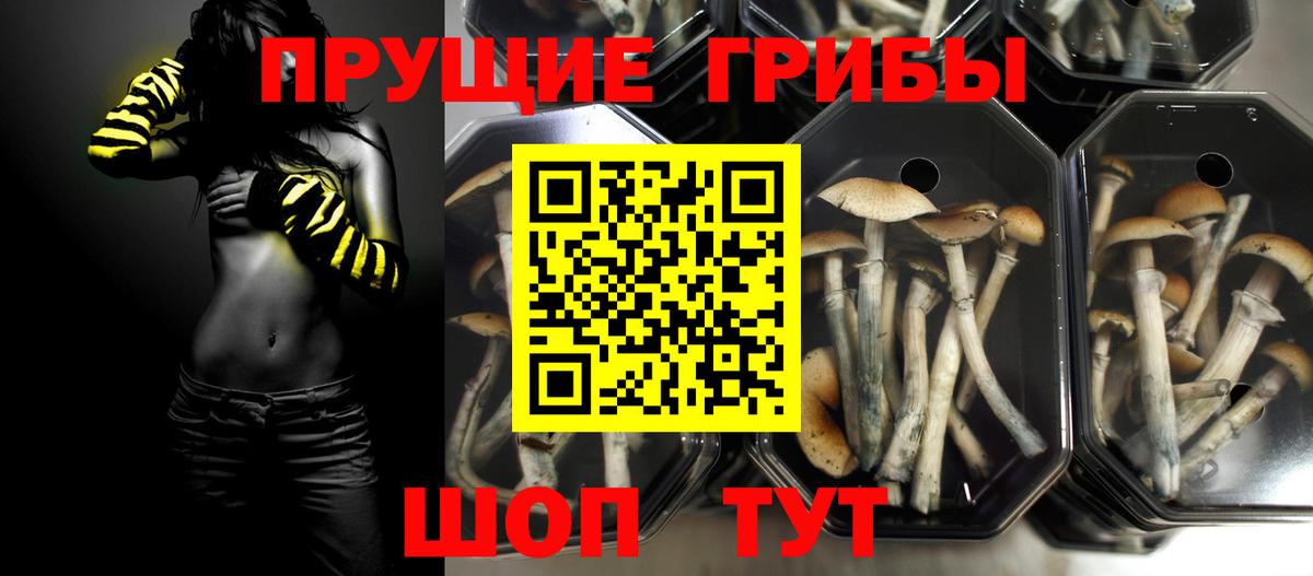 Галлюциногенные грибы Зеленокумск